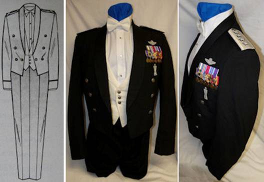 Carlton Mess Dress as FED.jpg