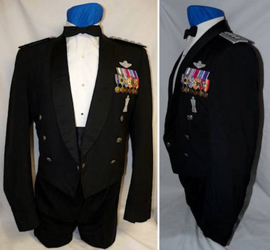 Carlton Mess Dress1.jpg